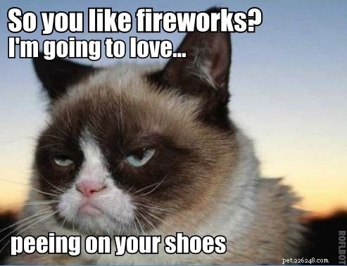 10 grappige en patriottische kattenmemes van 4 juli