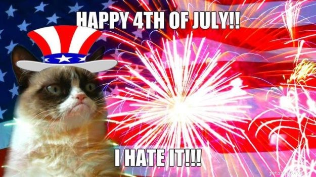 10 mèmes de chat drôles et patriotiques du 4 juillet
