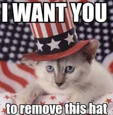 10 grappige en patriottische kattenmemes van 4 juli