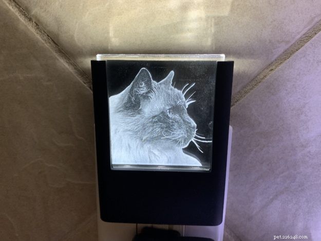 カスタム猫刻印常夜灯とエッチングされたメモリからの3Dクリスタル長方形 