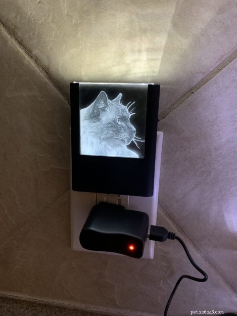 Luz noturna personalizada gravada com gato e retângulo de cristal 3D da memória gravada