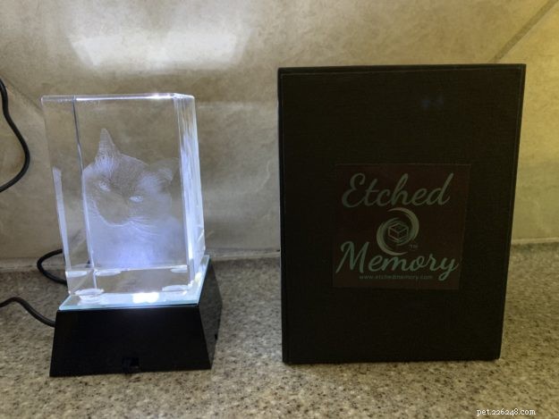 Veilleuse chat personnalisée et rectangle en cristal 3D de Etched Memory