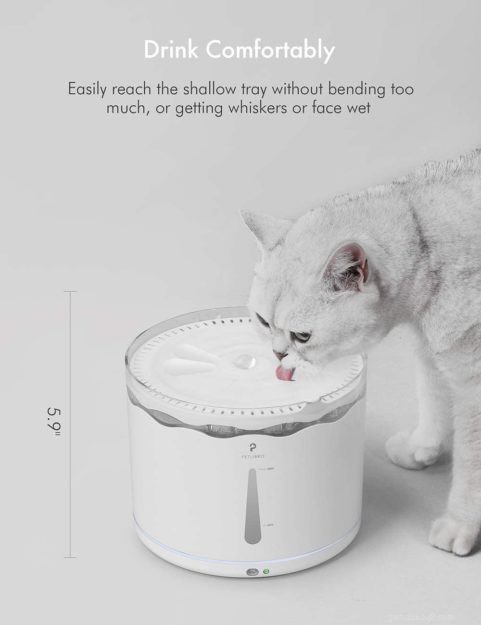 Fontana automatica PetLibro per animali domestici