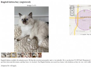 Craigslist에서 판매용으로 Ragdoll 새끼 고양이를 사야 합니까?