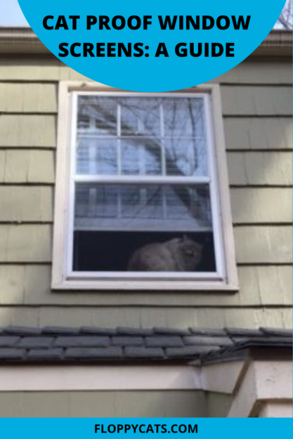 고양이 보호 창 스크린:가이드
