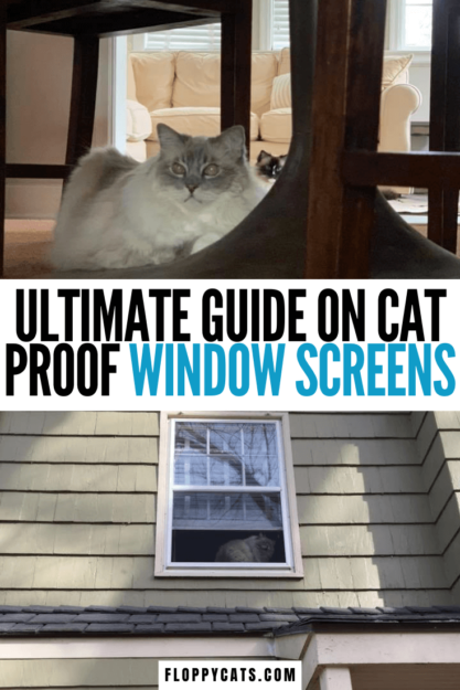 Оконные экраны с защитой от кошек:руководство