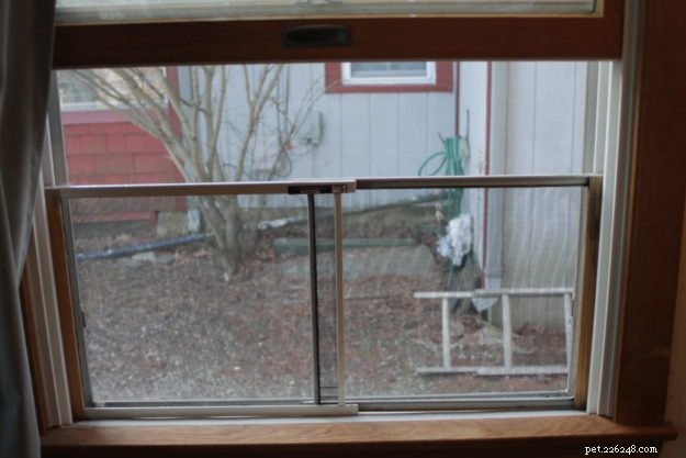 Telas de janela à prova de gato:um guia