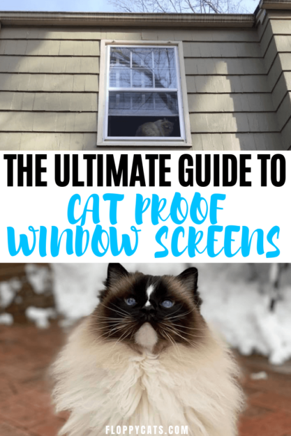 Écrans de fenêtre anti-chat :un guide