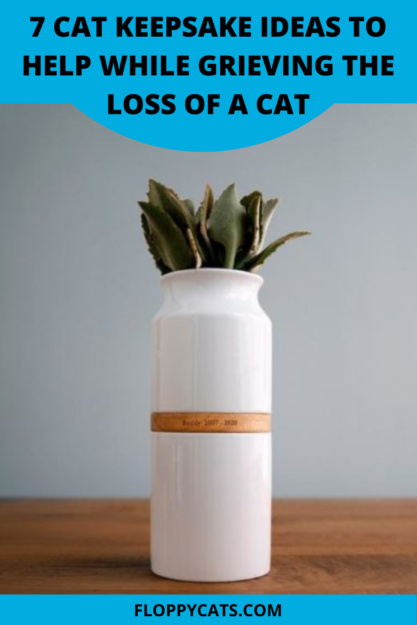 7 ideeën voor kattenherinneringen om te helpen bij het rouwen om het verlies van een kat