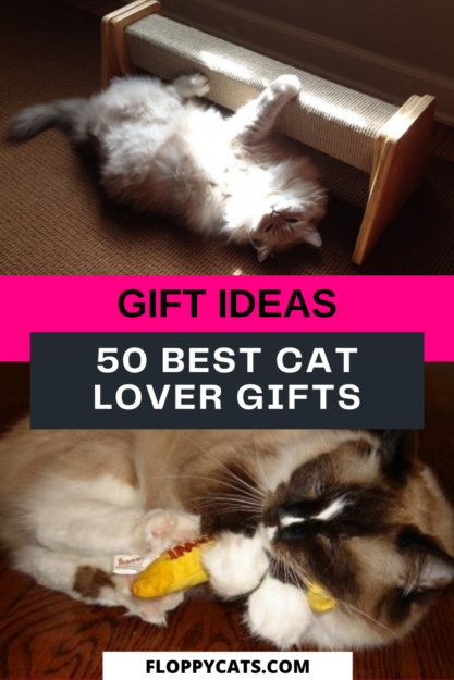 고양이를 위한 최고의 선물 50개