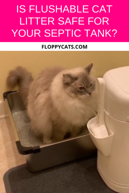 Безопасен ли смываемый наполнитель для кошачьего туалета для вашего септиктенка?