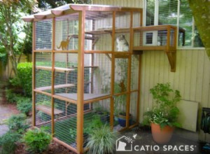 Catios:DIY Catio plány a nápady Catio design