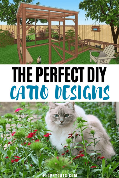 Catios:DIY Catio plány a nápady Catio design