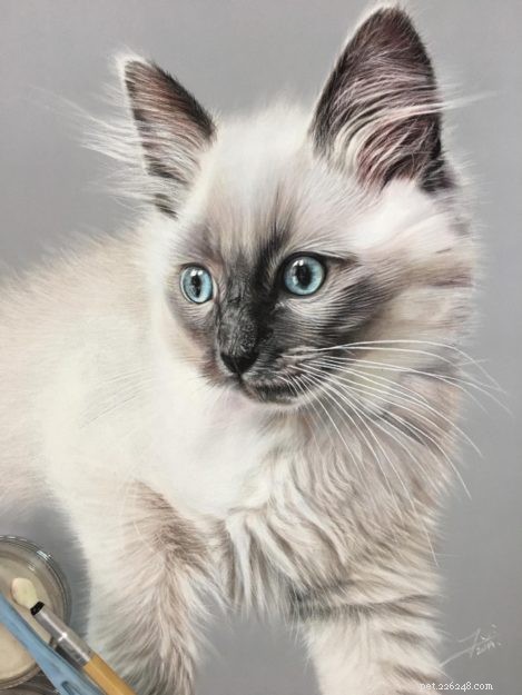 ラグドール猫の絵はどこで購入しますか？ 