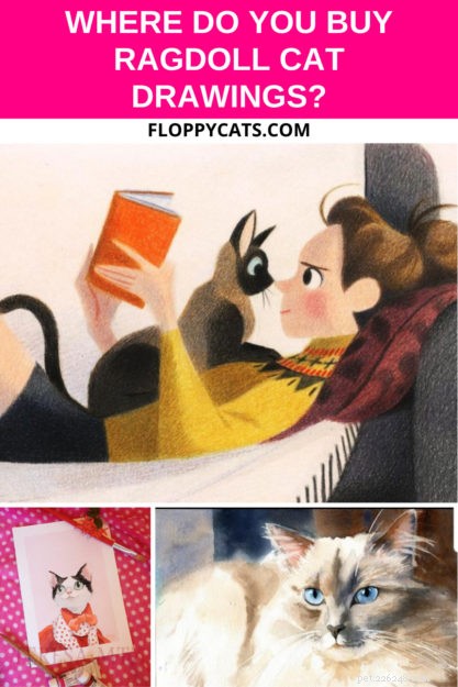 Waar koop je Ragdoll Cat-tekeningen?