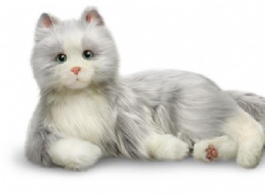 Alzheimerova kočičí hračka – 1 mazlíček, kterého mohou mít