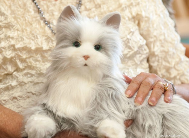 Alzheimerova kočičí hračka – 1 mazlíček, kterého mohou mít