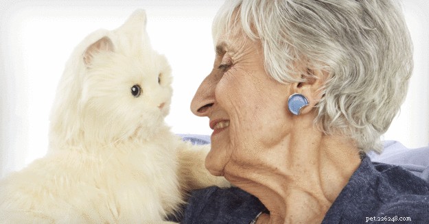 Alzheimer s kattenspeeltje – 1 huisdier dat ze kunnen hebben