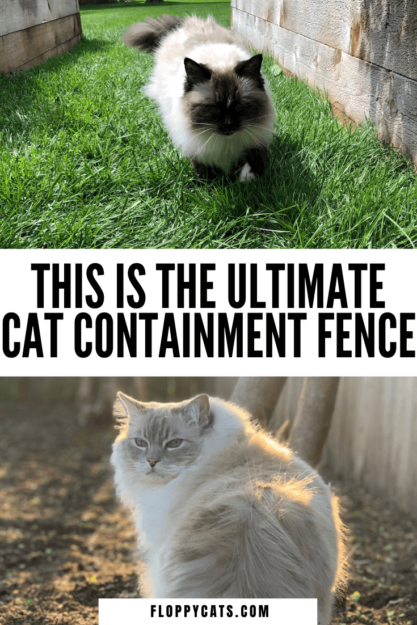 Cat Containment Fence:één lezer vertelt hoe hij zijn Ragdoll-kat bevat
