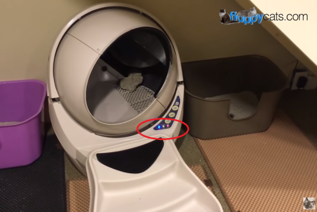 Problemen met kattenrobots oplossen:veelvoorkomende problemen met Litter-Robot 3 oplossen