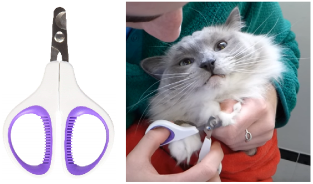 Bästa kattvårdsverktyg för långhåriga katter