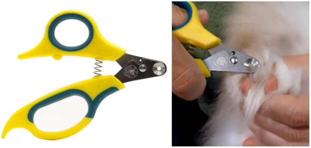 Melhores ferramentas de tosa para gatos de pelo comprido