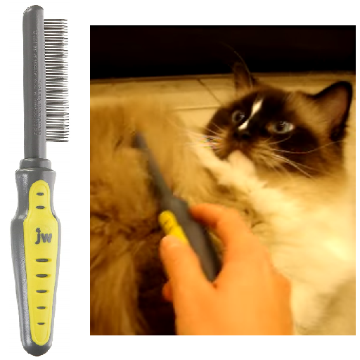 Meilleurs outils de toilettage pour chats à poils longs