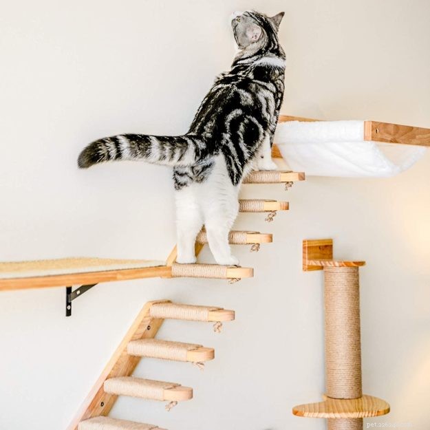 BONUS april 2021 Giveaway:FUKUMARU gemonteerde kattenklimwandplank