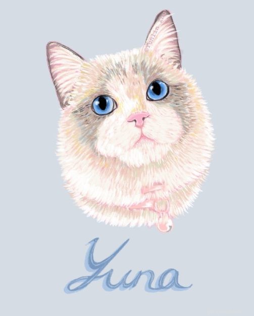11 ilustračních umělců pro kočky {tyto musíte vidět