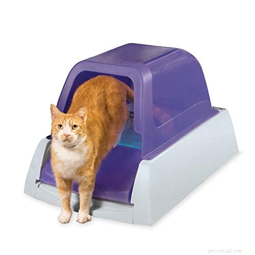 9 samočistících odpadkových boxů pro vaši kočku