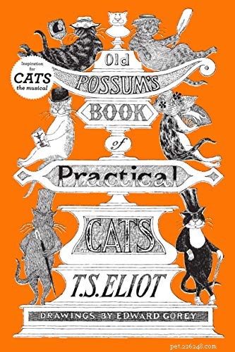 고양이에 관한 책 – 어린이를 위한 소설 독자