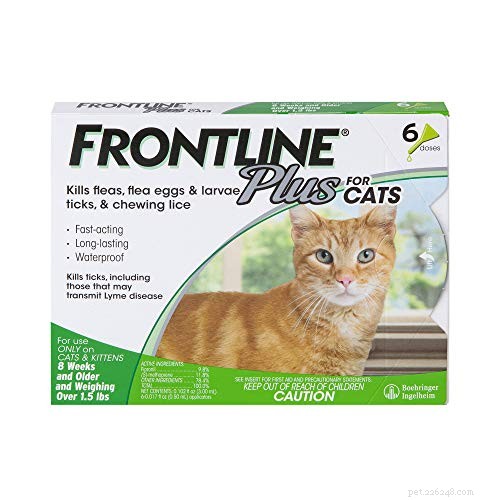 Melhor tratamento para pulgas em gatos