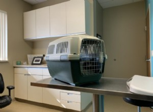 Jak často byste měli vzít kočku k veterináři?