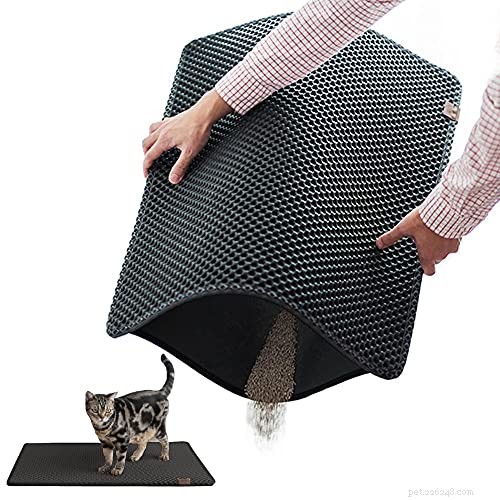 Perché una lettiera XL in acciaio inossidabile potrebbe essere adatta al tuo gatto