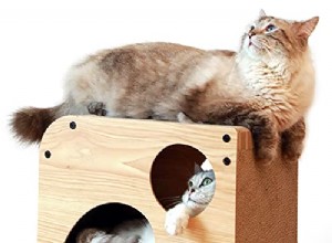 Ноябрь 2021 г. Розыгрыш:когтеточка для кошек FUKUMARU