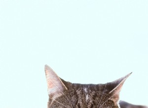 Tips voor kattennagelverzorging