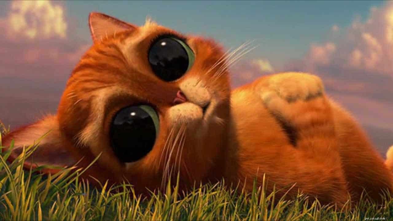 Waarom hebben sommige katten ronde pupillen?