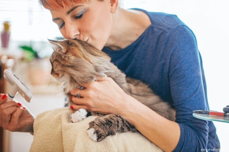 Tipy pro boj s kočičí srstí u vás doma