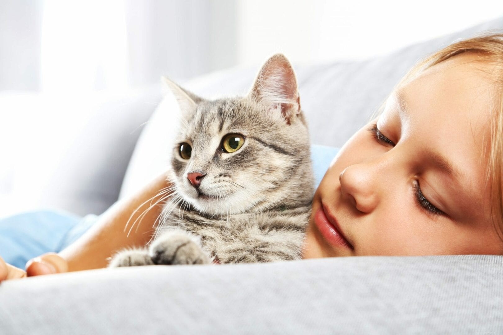 고양이는 인간의 감정을 어떻게 감지합니까?