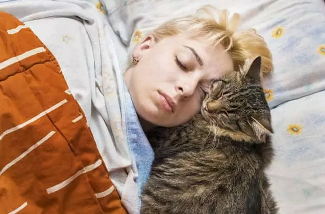 Почему ваша кошка спит у вас на голове, и другие странности поведения кошек!