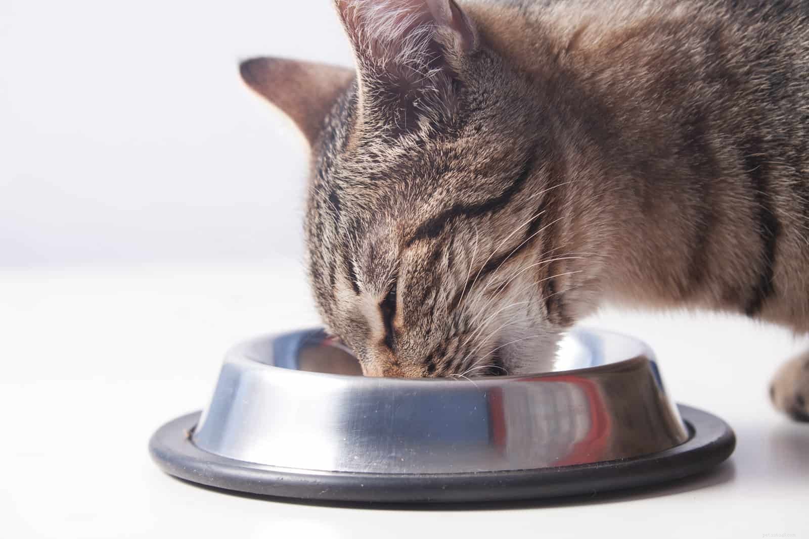 Waarom sluiten katten hun ogen als ze eten?