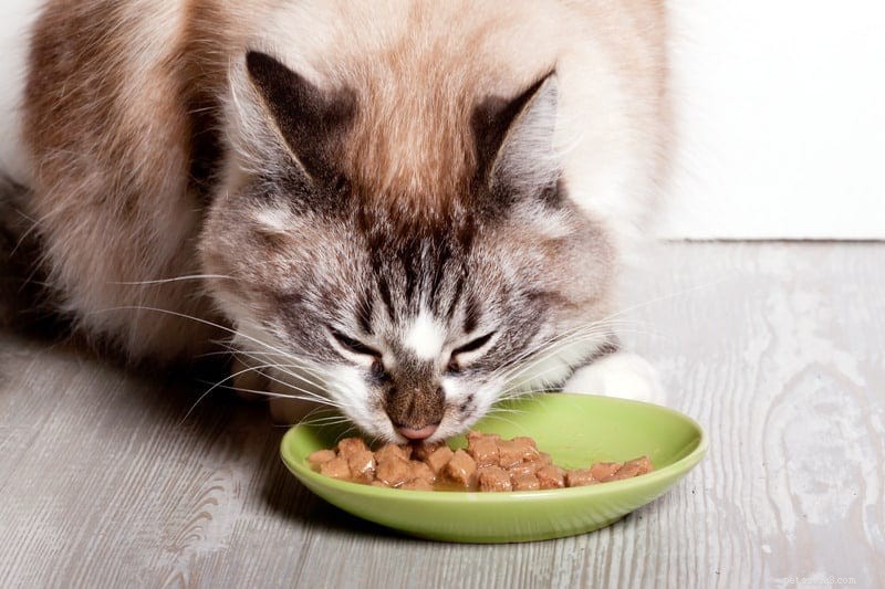 Почему кошки закрывают глаза, когда едят?