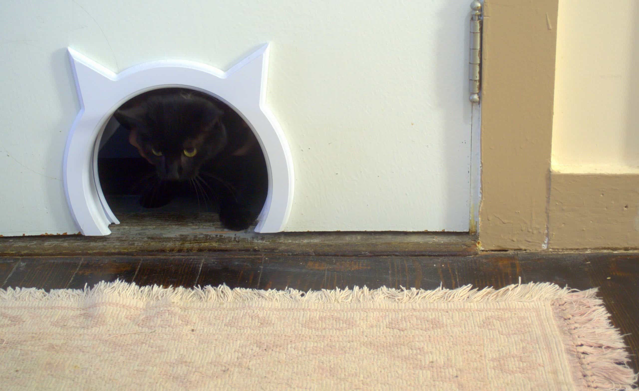 Почему кошки ненавидят закрытые двери?
