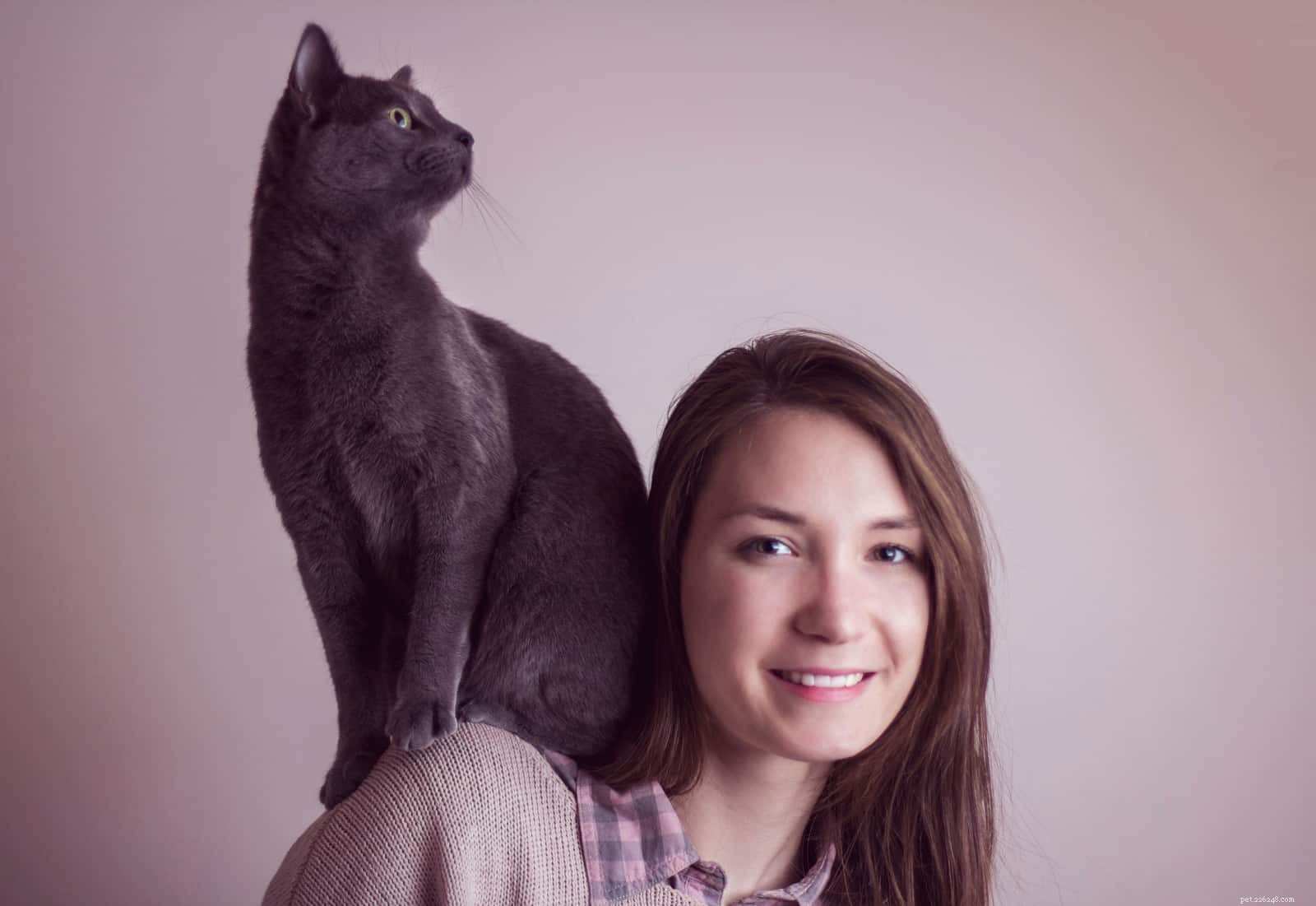 Waarom zitten katten graag op hun schouders?