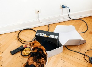 고양이가 코드와 전선을 씹는 것을 멈추게 하려면 어떻게 해야 합니까?