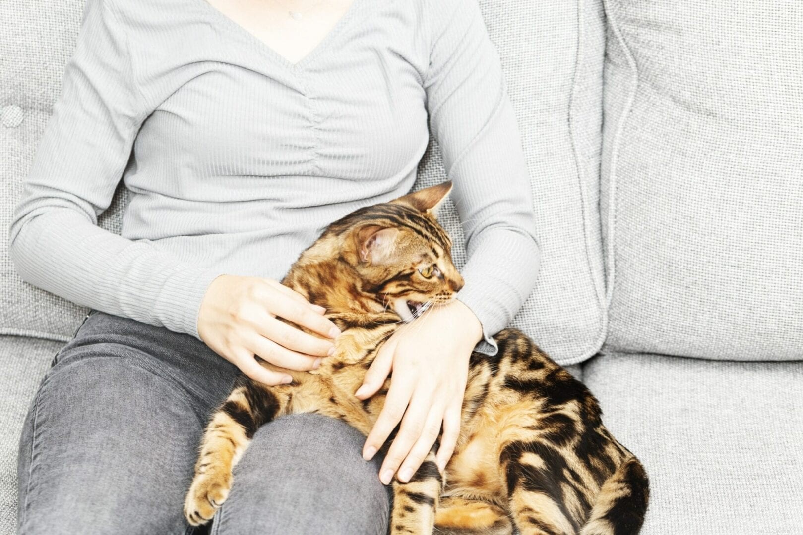 Pokoušejí kočky „kousání z lásky“ nebo jsou agresivní?