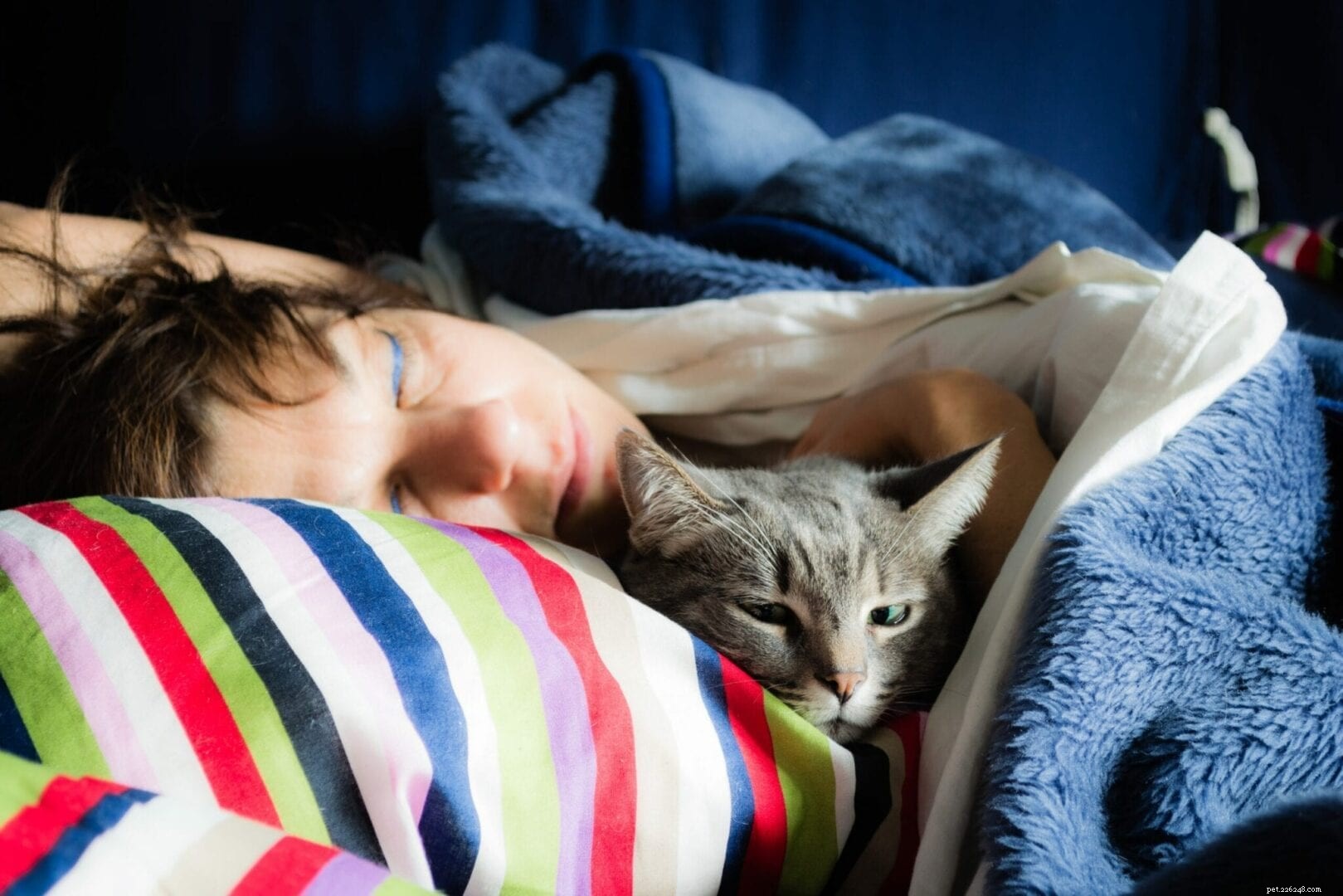 Почему кошки любят спать под вашей шеей?