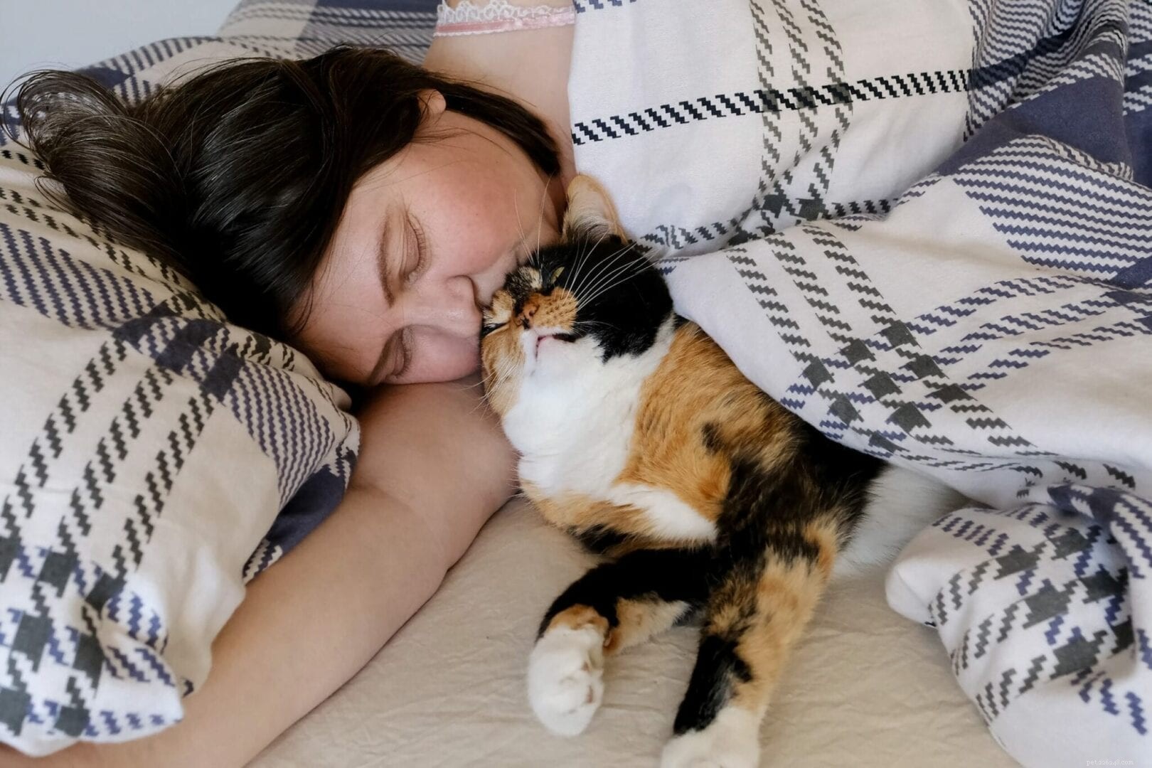 Proč kočky rády spí pod vaším krkem?