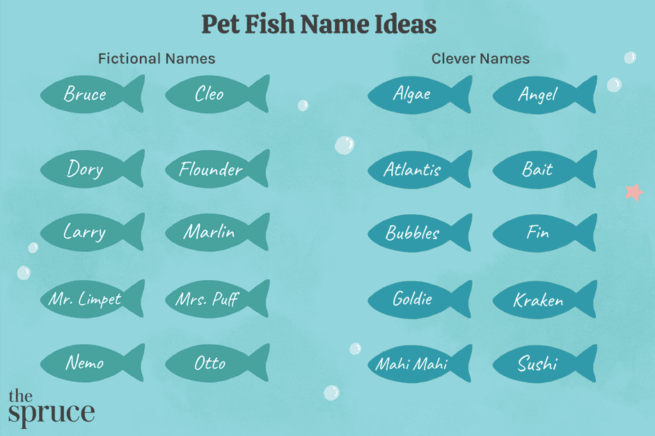 귀하의 애완용 물고기를 위한 57가지 이름 아이디어