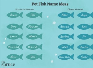 귀하의 애완용 물고기를 위한 57가지 이름 아이디어
